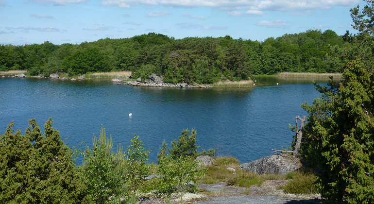 Utsikt över Bruksvikens vatten och lövskog.