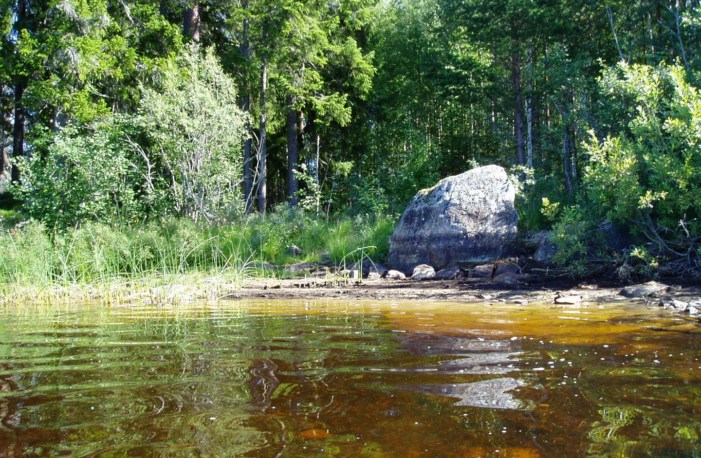 Västra sidan av näset