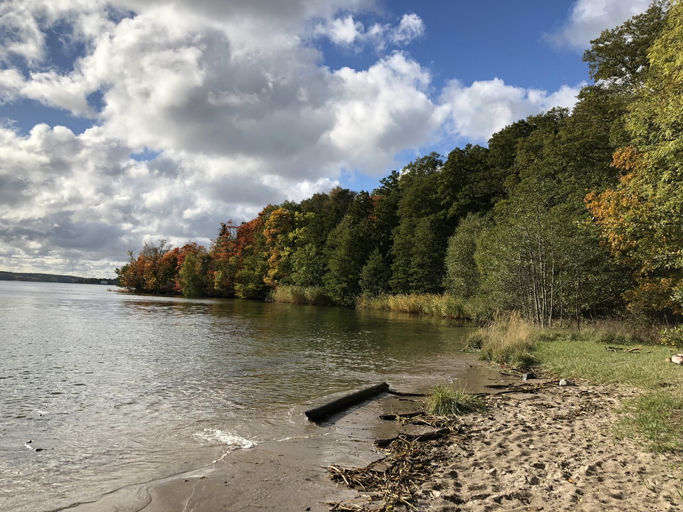 Sandstrand med lövträd i bakgrunden.