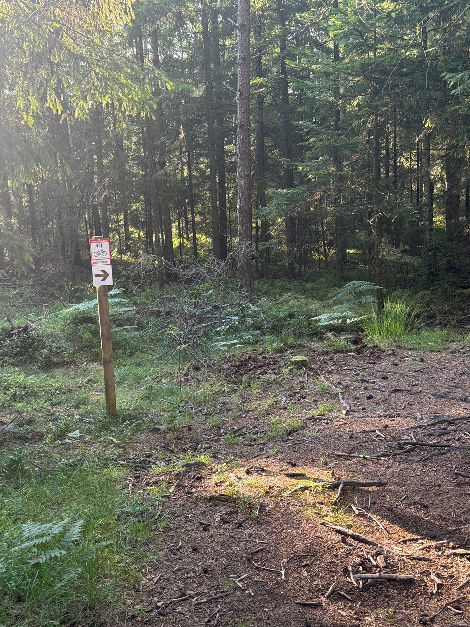 Bild: Hunneberg Sport och Motion 