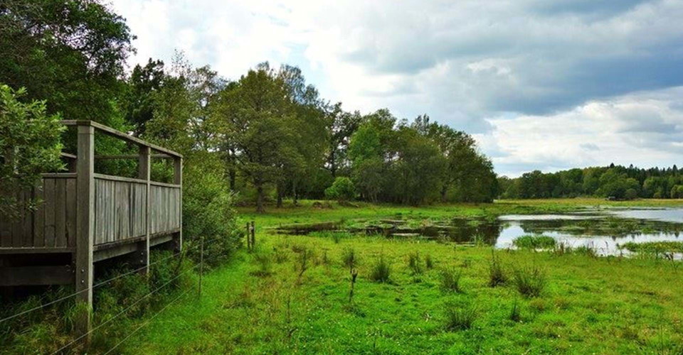 Tillgänglighetsanpassad plattform för fågelskådning vid Ekängsdalen. 
Etapp: Vidingsjö-Bjärka Säby, Rundslinga Ekängsdalen.
Linköping. 