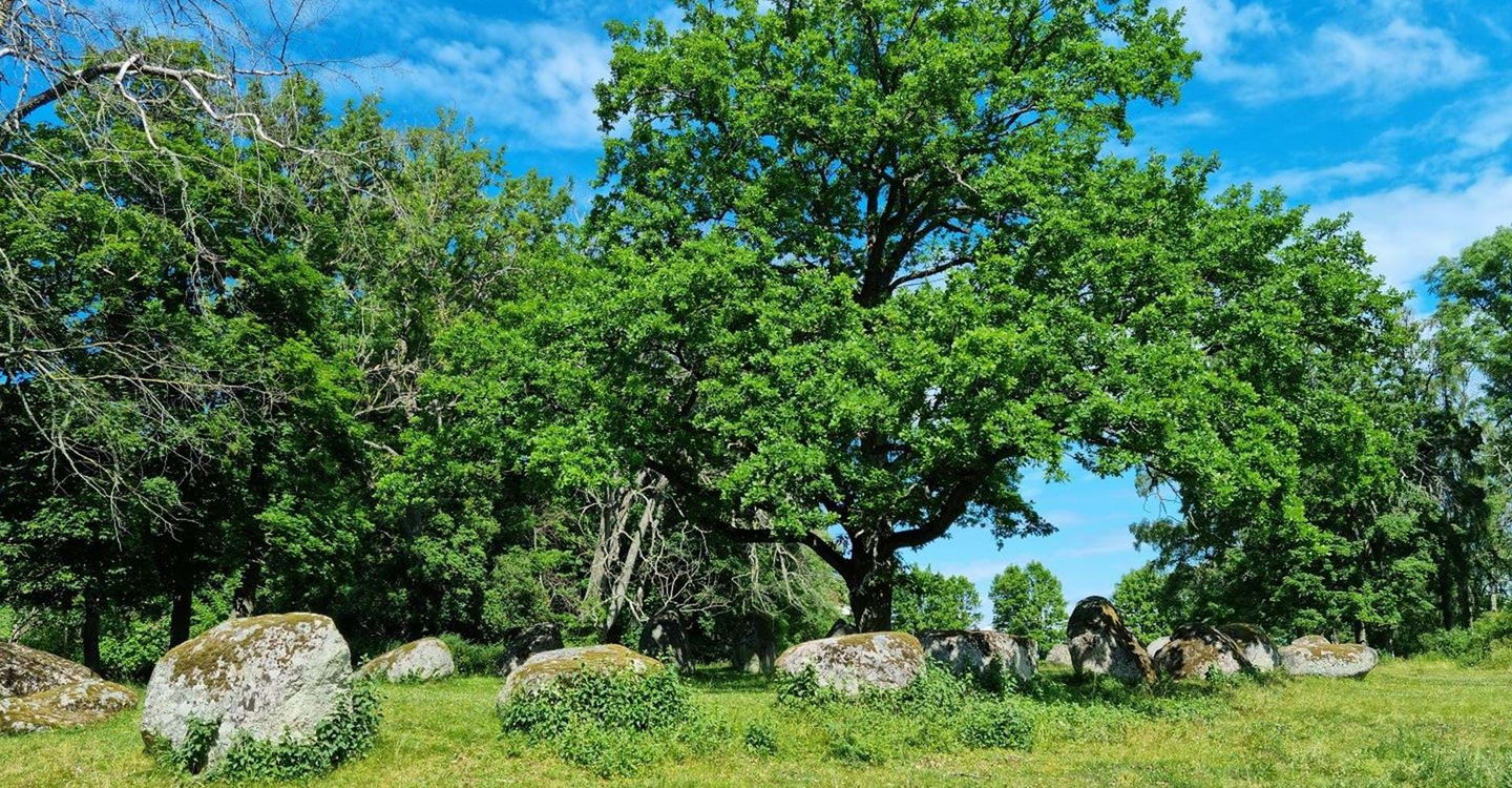 Leden passerar Nässja Domarring som troligen är en grav från järnåldern.
Etapp: Borghamn-Vadstena.
Vadstena.