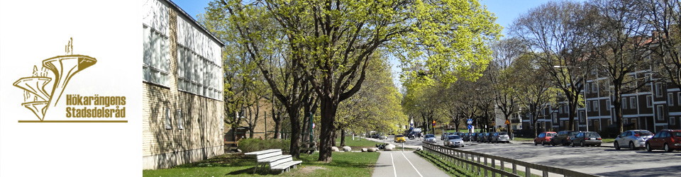Hökarängens stadsdelsråd