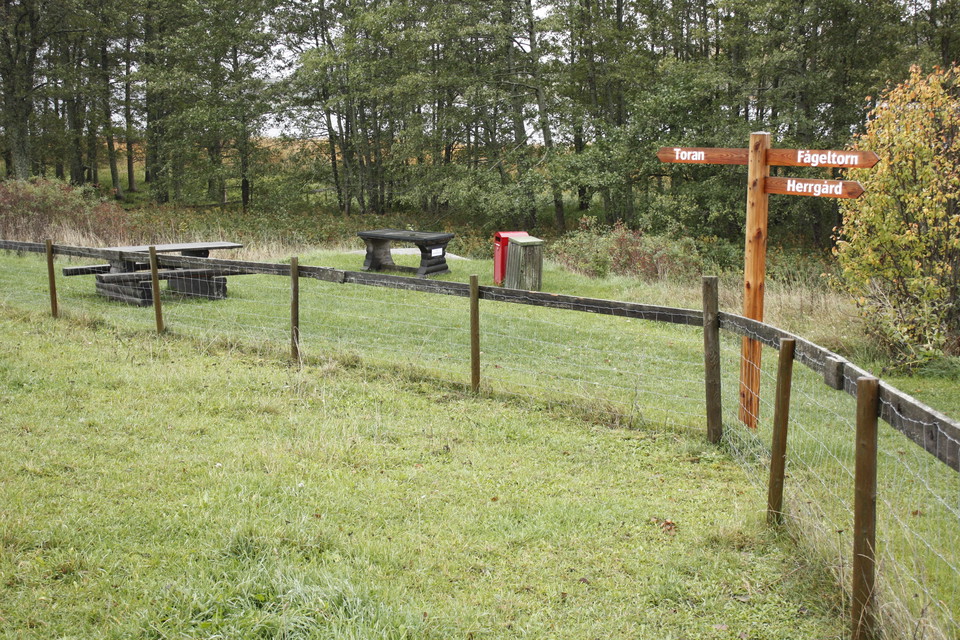 Ett bänkbord och en bänk står nära badet. Soptunnor står nära bordet.