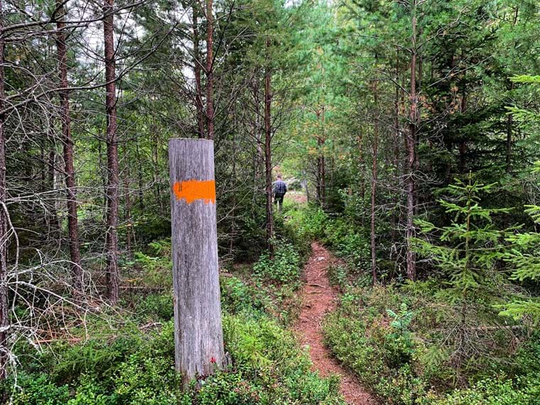 06 Hallstahammar – Långsjön | Bruksleden