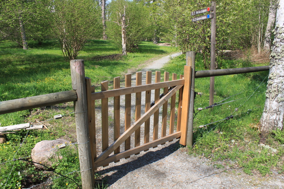 Närbild på en trägrind som står på en grusad stig som går genom en park.