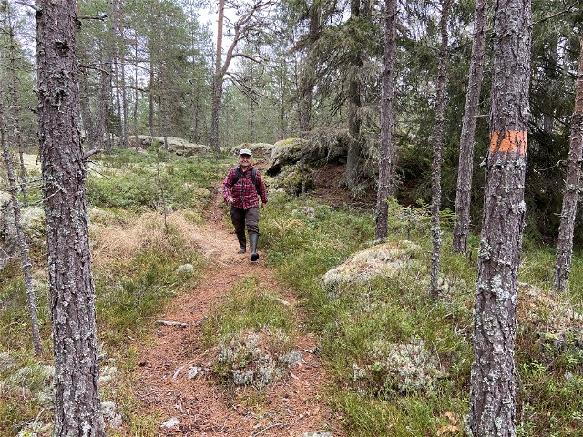 The Uppland Trail, section 21, 17,5 km