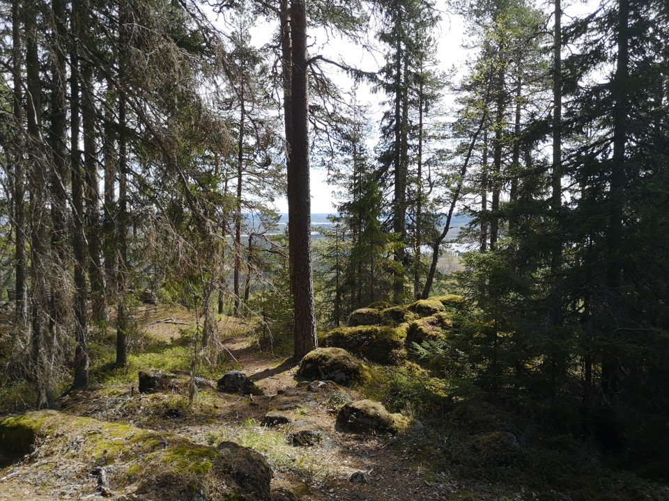Längs med leden