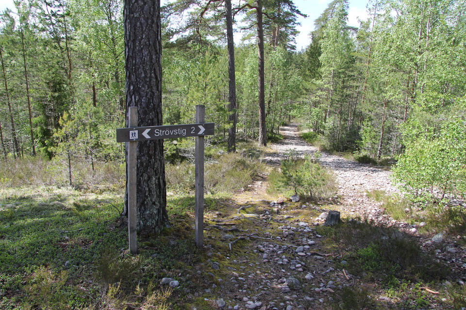 Träskylt med pil och texten: Strövstig 2.