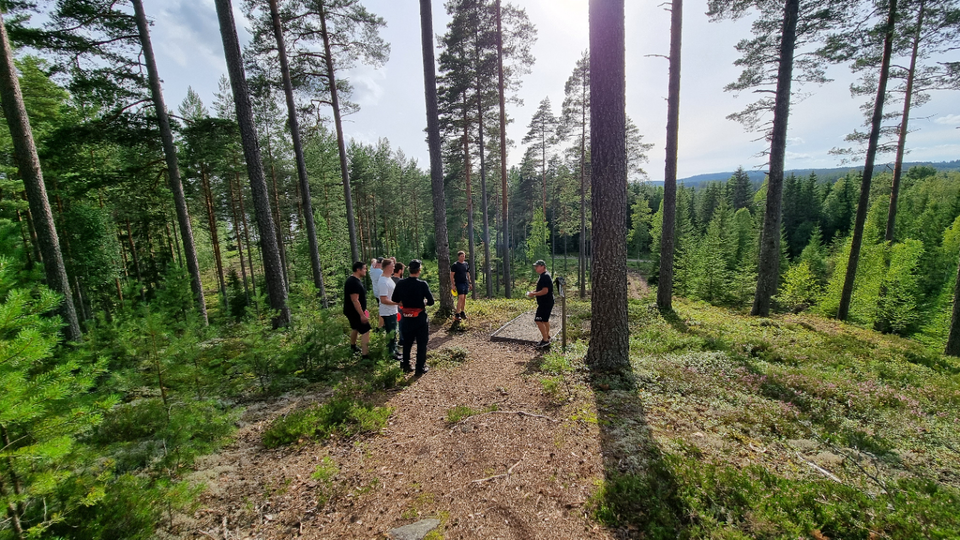 People playing disc golf at Treens camp site.