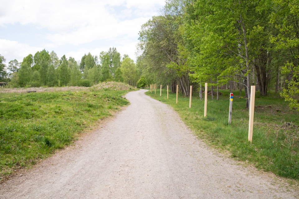 Fotograf: Tobias Ivarsson