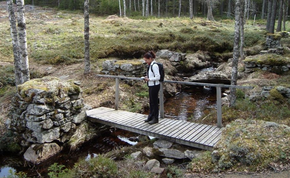 En ung kvinna på en liten träbro