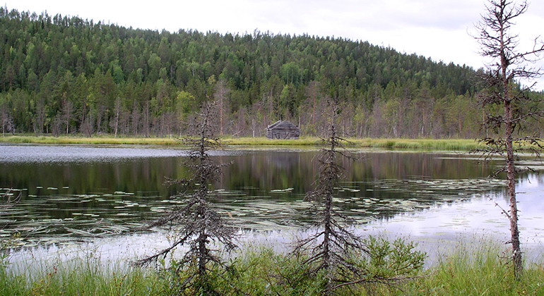 Norr-Björkberget.