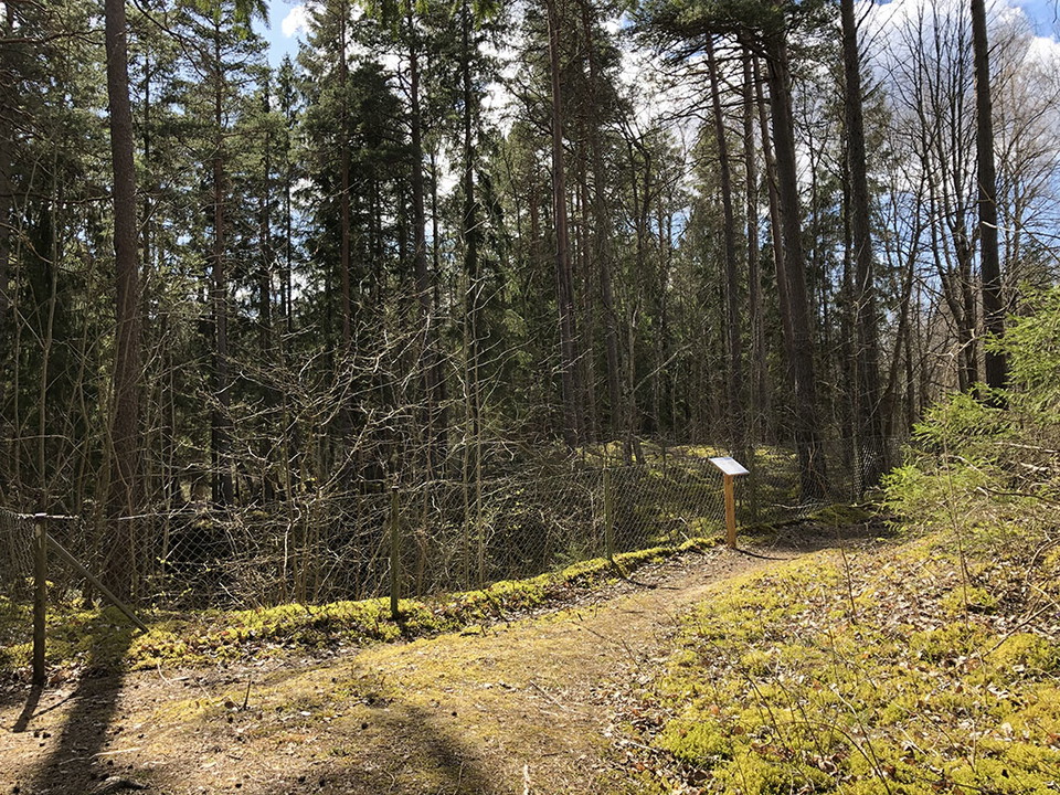 Informationstavla vid inhägnat hål i marken. En grusad stig går vid inhägnaden.