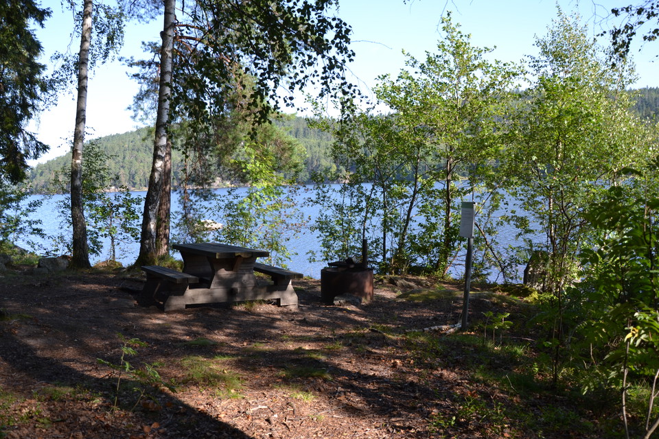 Rastplats längs Ågelsjöns västra sida.