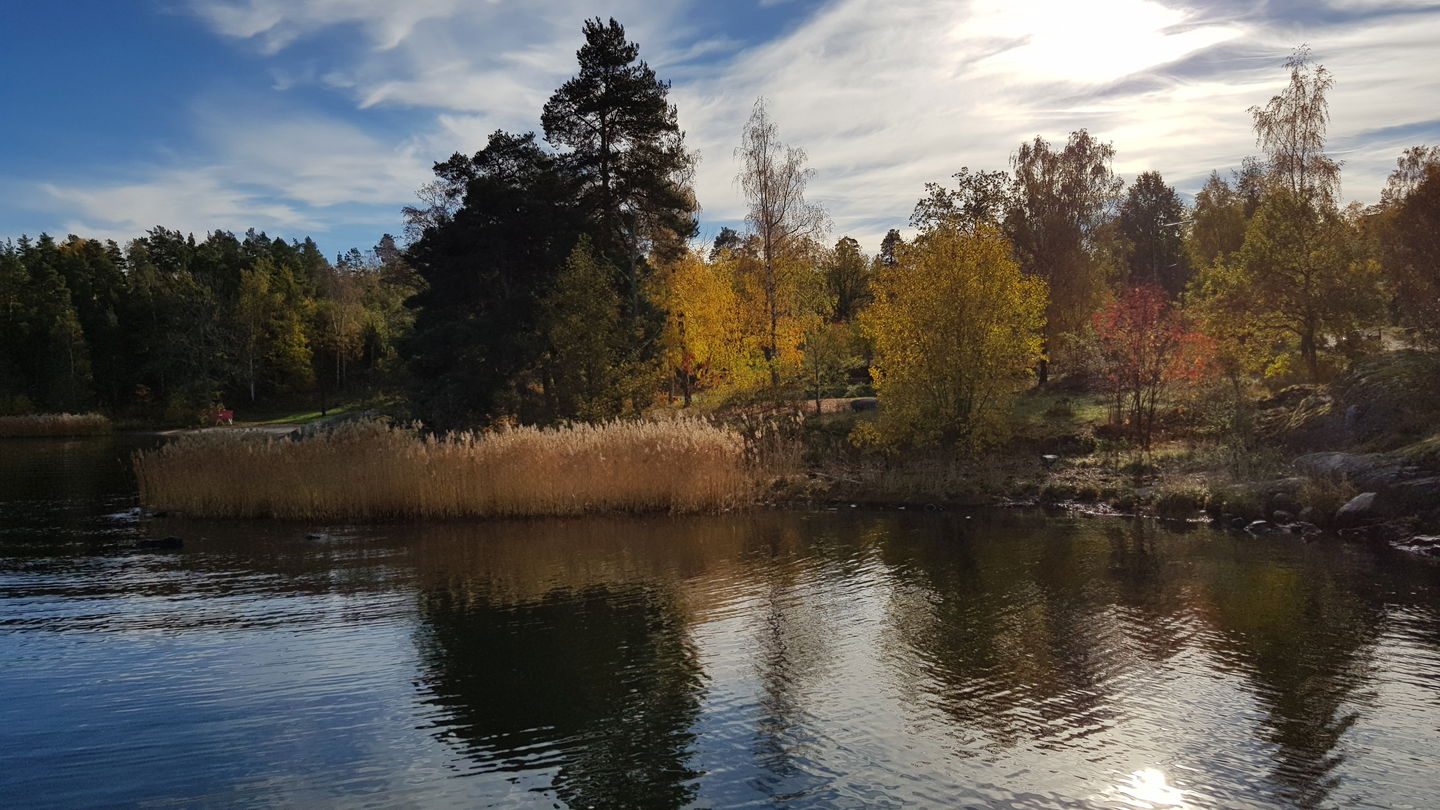 Vy mot stranden från Sticklinge brygga. Foto Lidingö stad.