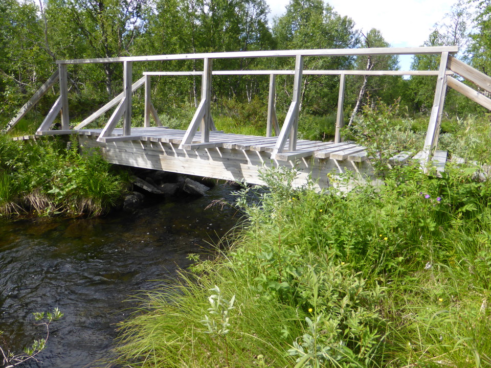 Paus vid bäcken väster om Suddsjávrrie