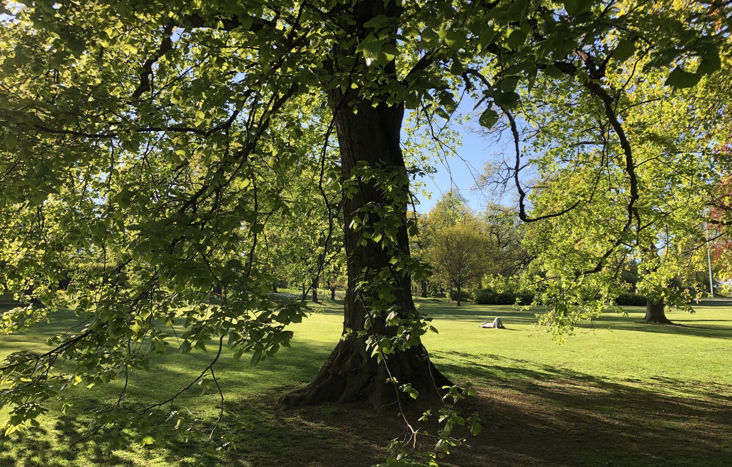 Nationalstadsparken firar 25 år med kunglig guide