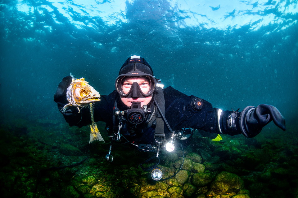 Bästa dykningen runt Vättern
