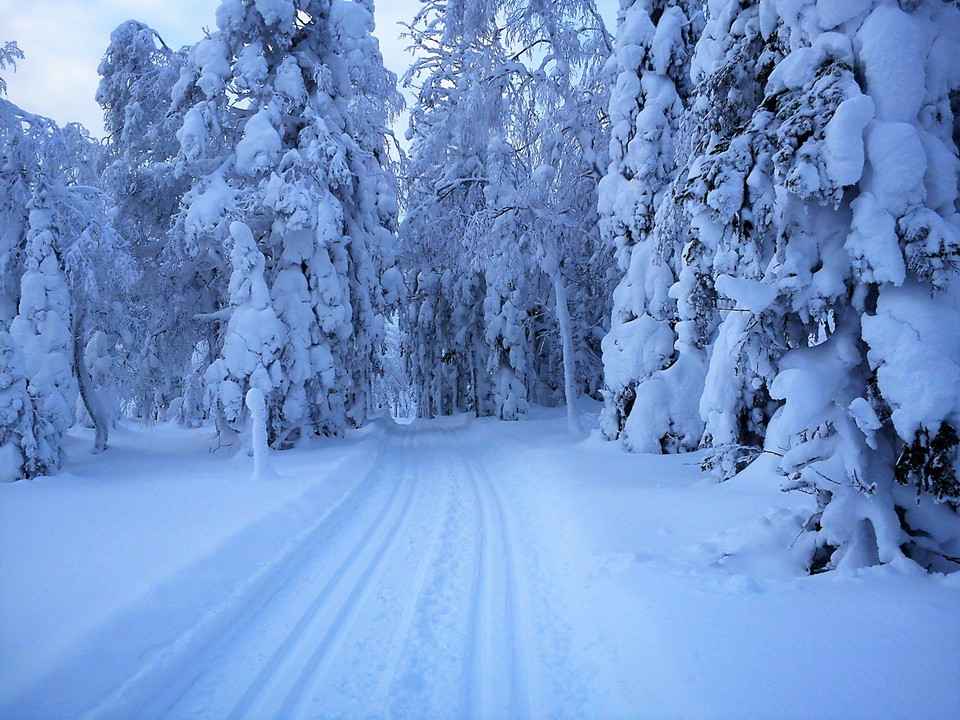Skidspår i Harsa