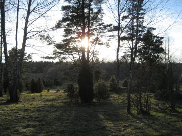 Tältplats Tyresta by