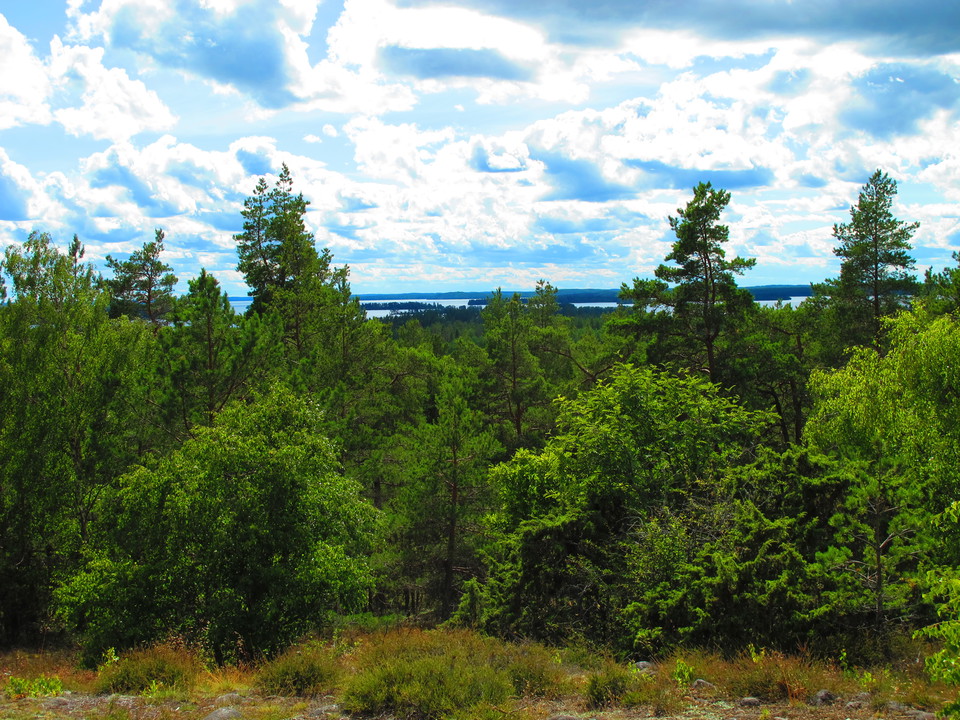 Utsikt från labyrinten Rösaring.