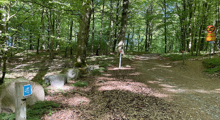 MTB-led i söder.