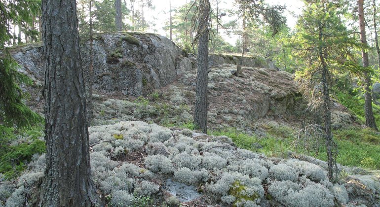 Det lilla reservatet Kungshöghällarna bjuder på dramatisk natur.
