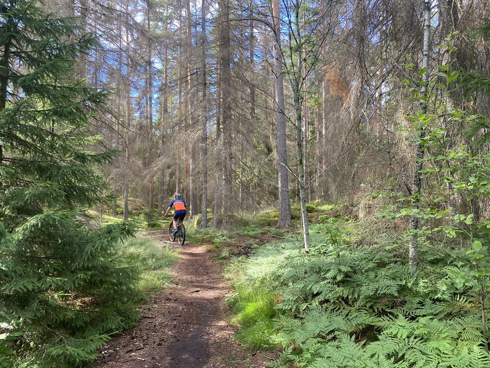 Den övervägande delen av Lista-spåret följer naturliga skogsstigar.