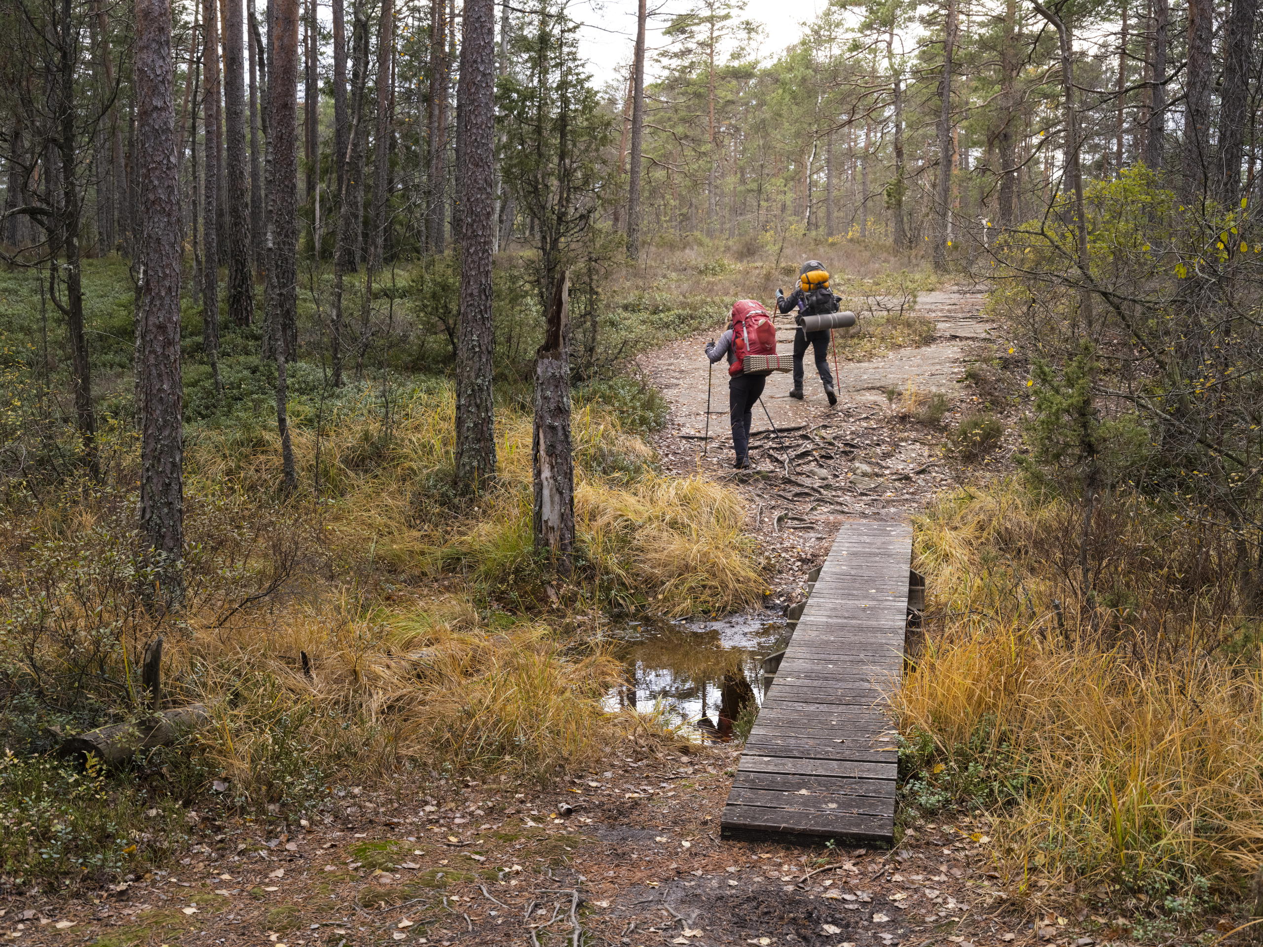 Naturguide till Dals-Ed — Naturkartan