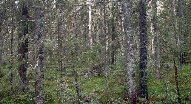 Hällabomossen, Naturreservat