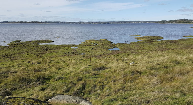 land möter hav