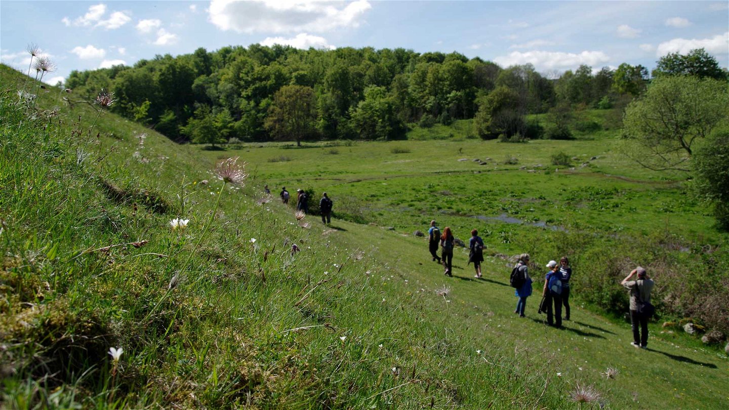 En grupp personer vandrar i sluttningen på en grön backe