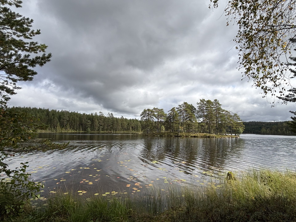 Vy över St. Sångaren
