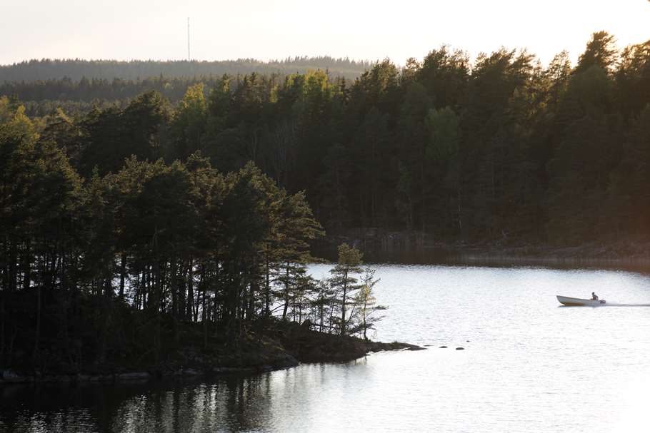 Bild: Sveaskog