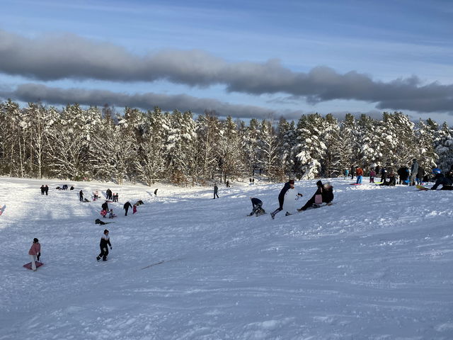 Breviksalpen, stora backen