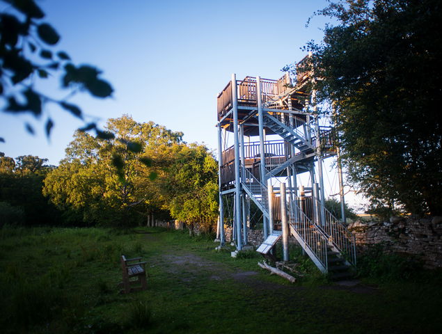 Södra lundtornet, Ottenby