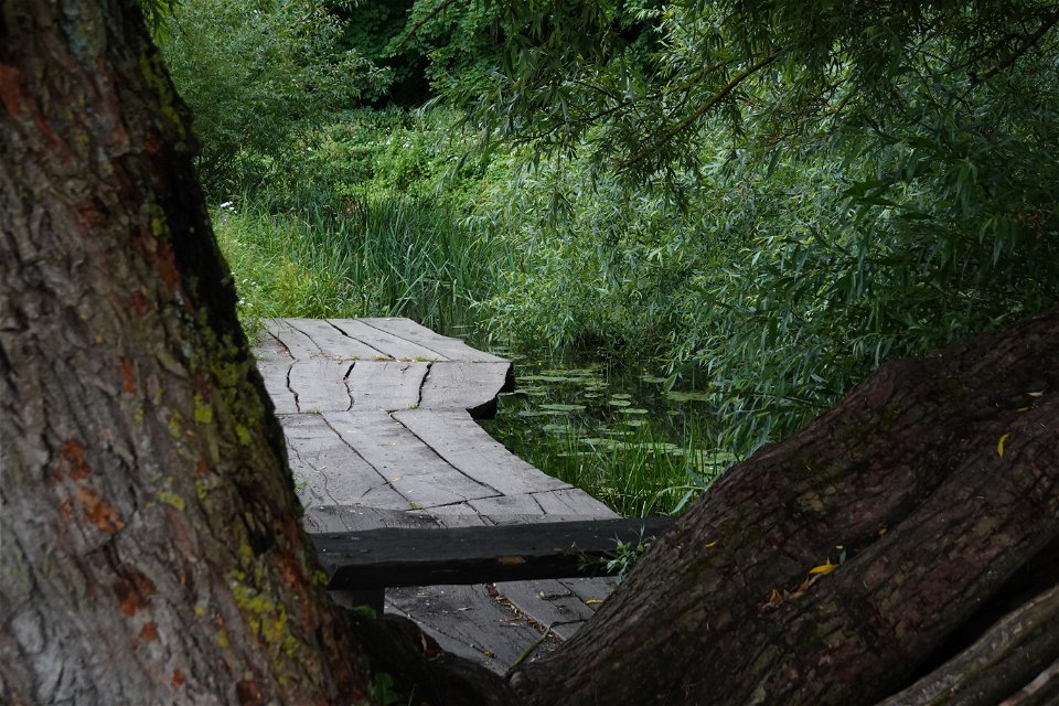 Plattform av träplankor intill vattendrag