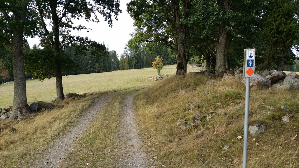 Tolg - förbi öppna betesmarker
