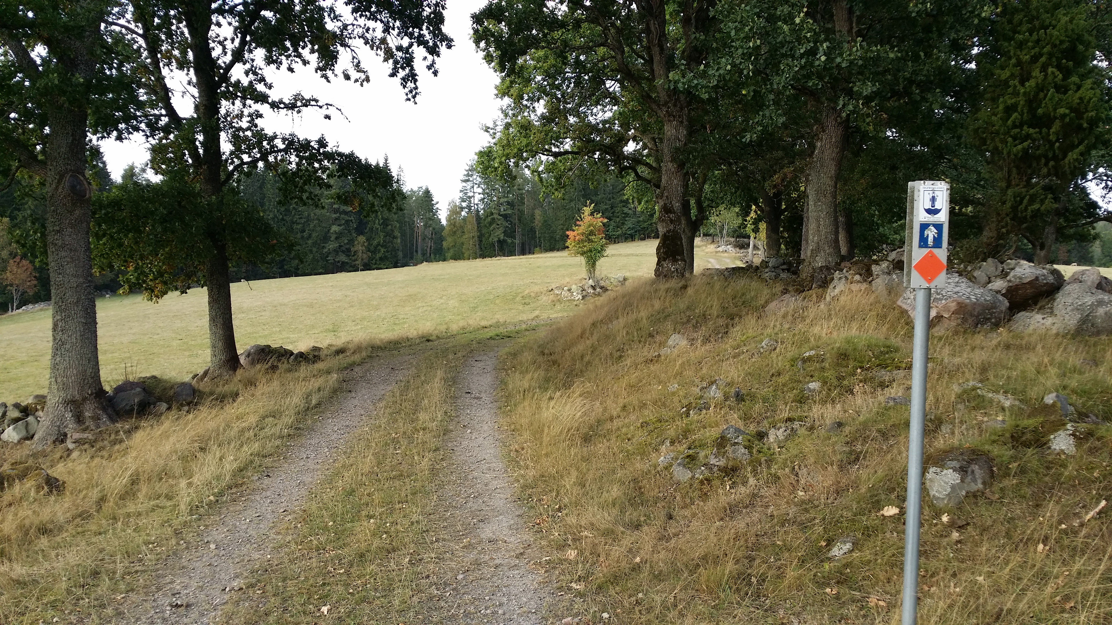 Tolg - förbi öppna betesmarker