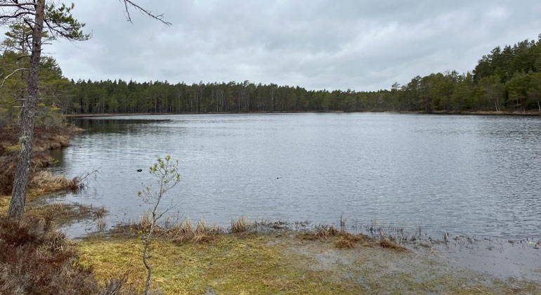 Bild fotograferad från strandkanten ut över en stilla vattenyta.