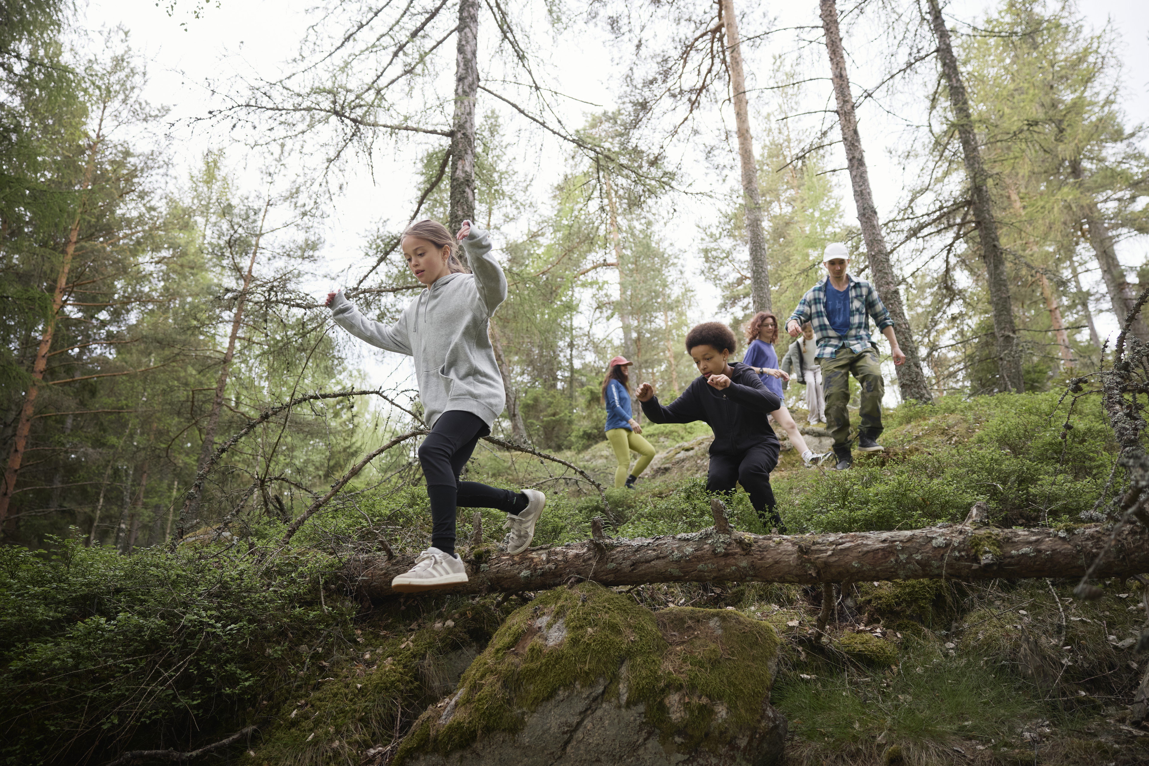 Nu är det dags för alla föreningar m fl verksamma inom friluftsliv, kultur och idrott att ansluta si…