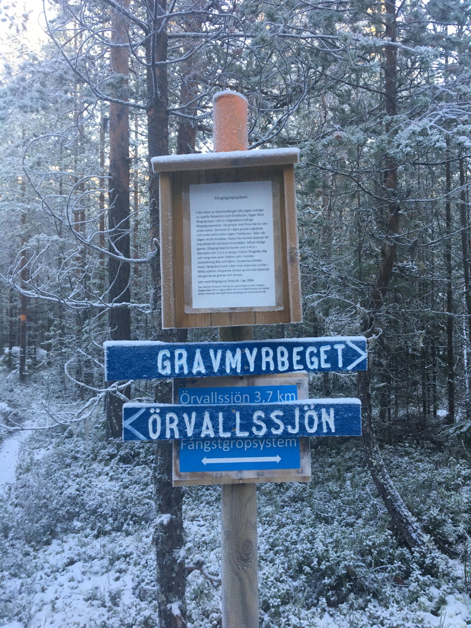 foto: Maj-Lis Wikström