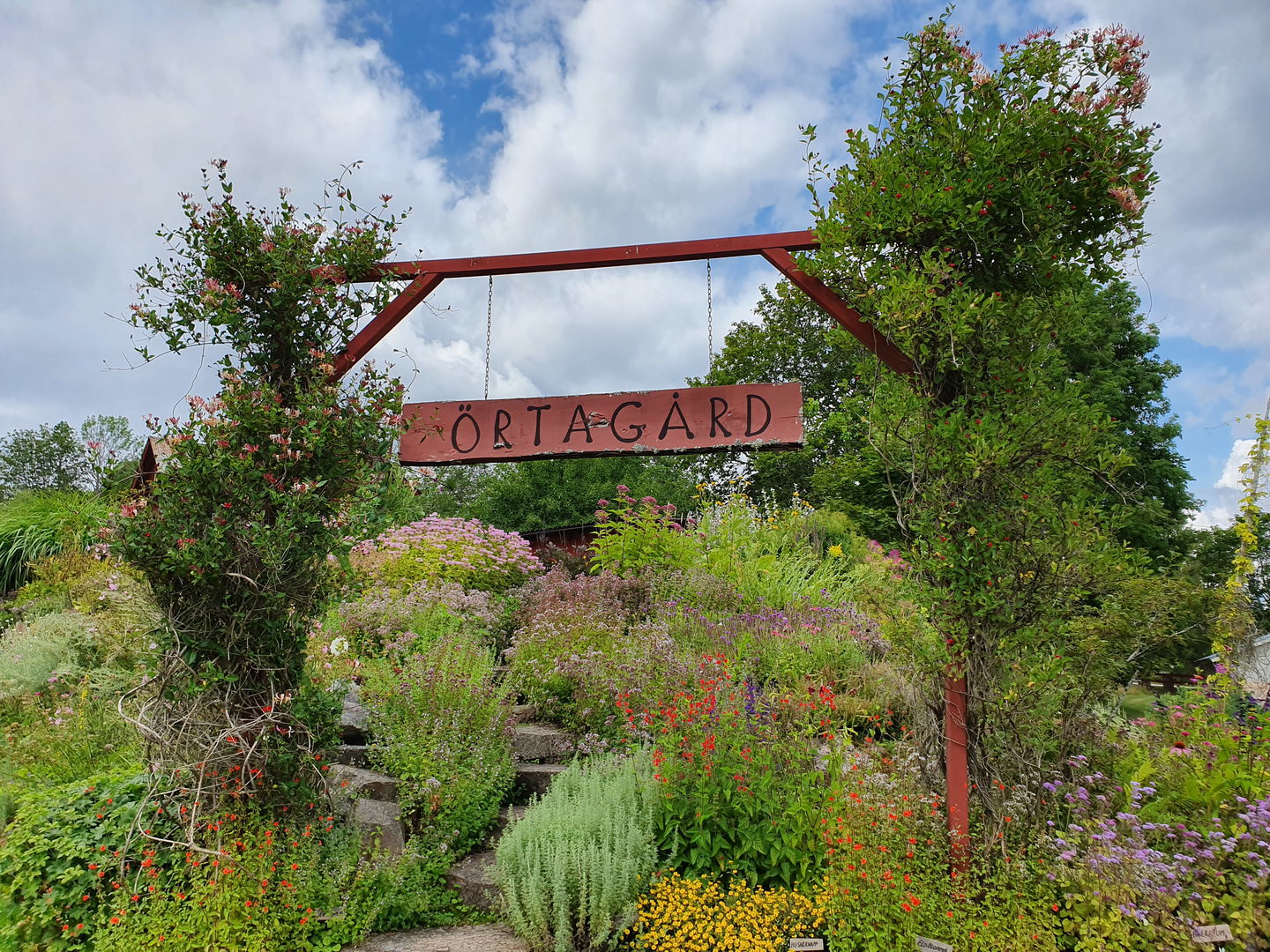 Örtagård