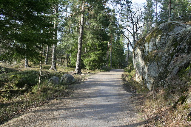 Albys elljusspår - 4 km