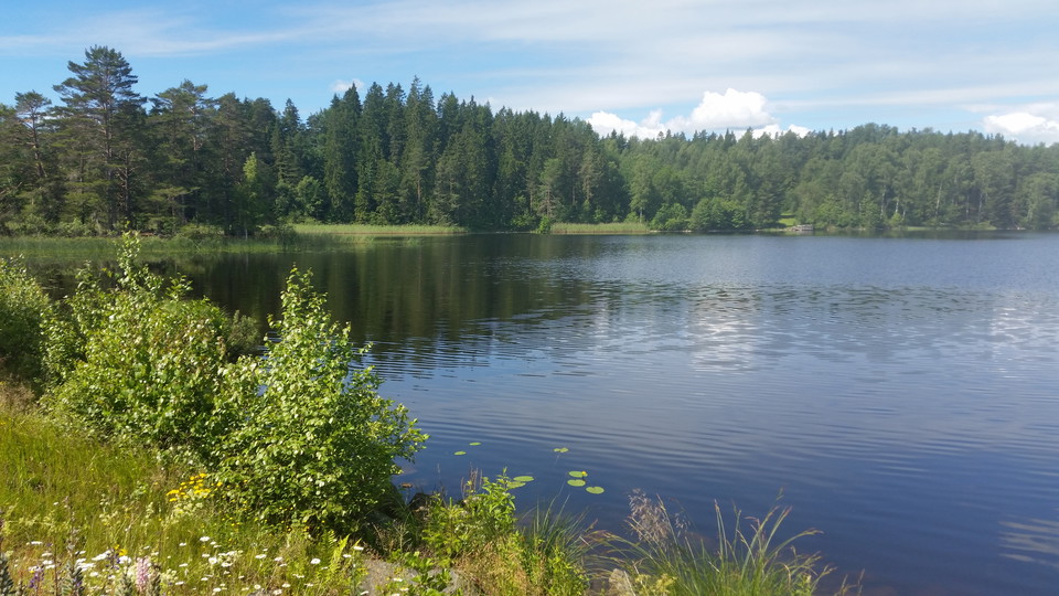 Sjön i närheten av sörmlandsleden