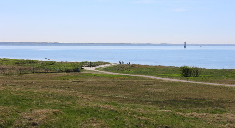 Kusthedslandskap i Väsby strandmark.