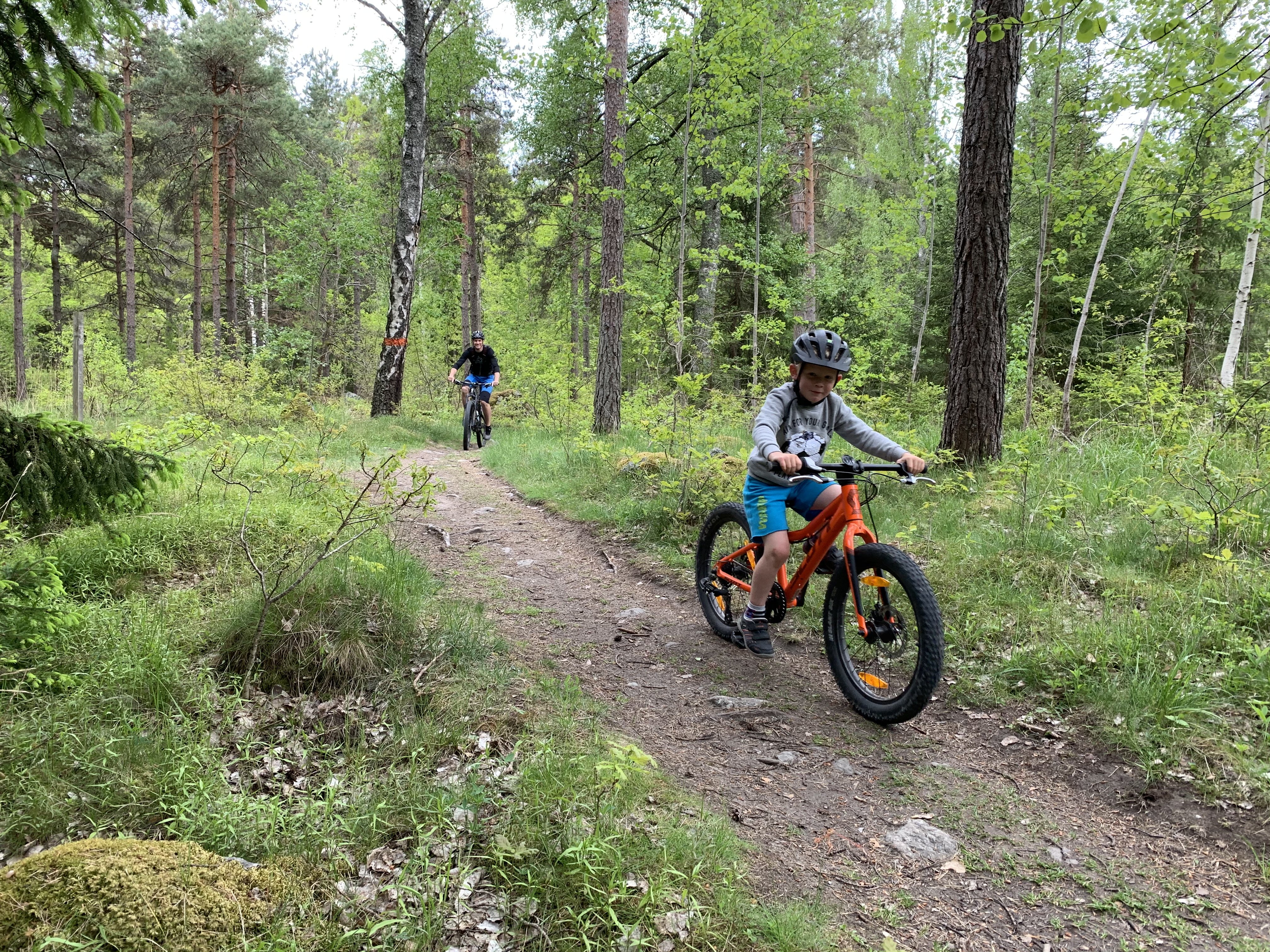 Västerås — Dyboslingan mountain biking trail (MTB Blue)