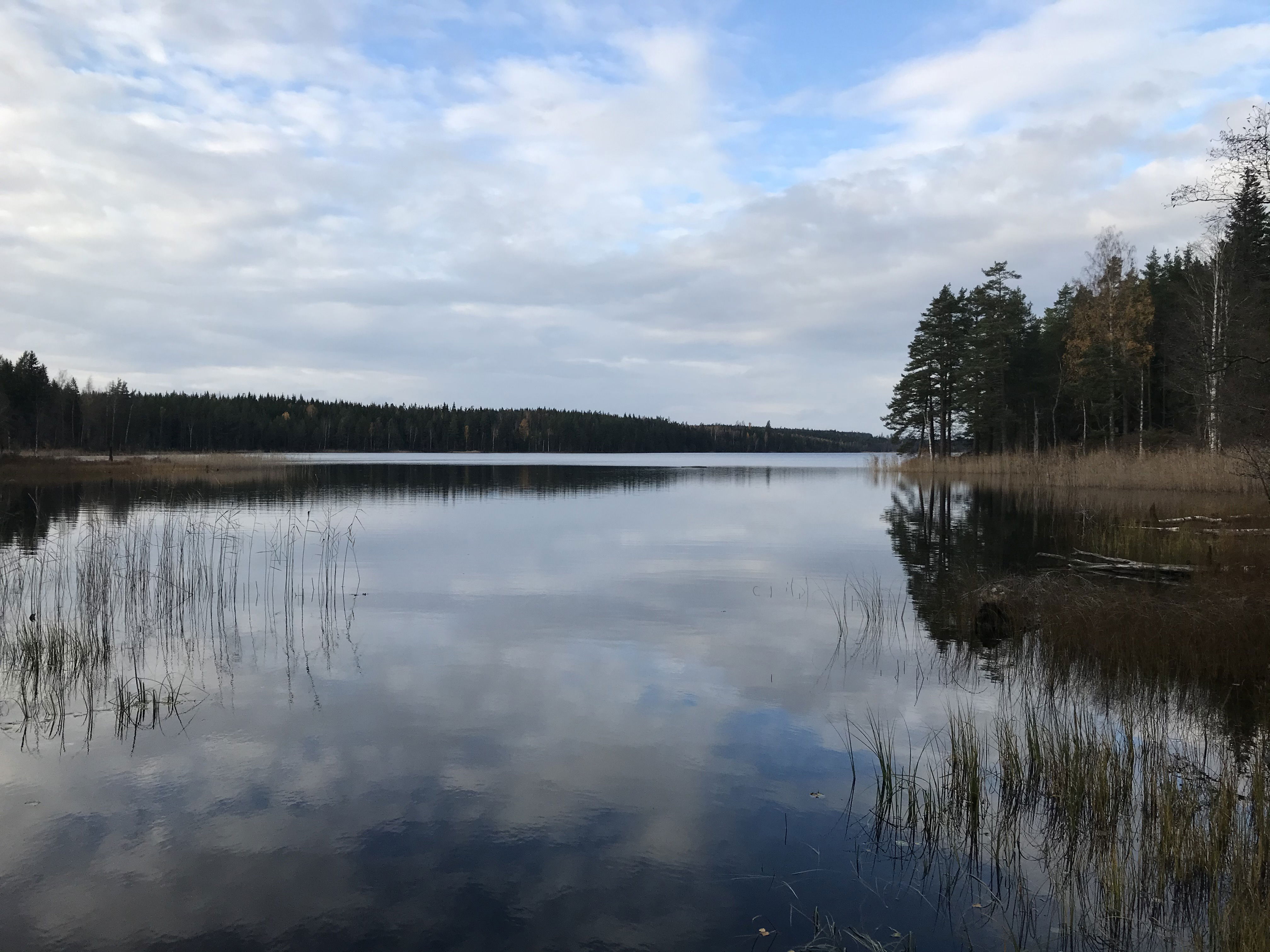 Laxsjöarnas Fiskevårdsförening
