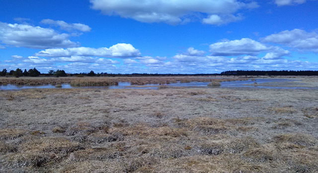 Dröstorp, Naturvårdsområde